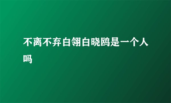 不离不弃白翎白晓鸥是一个人吗
