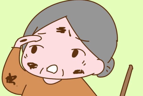 痴婆子传文言文翻译