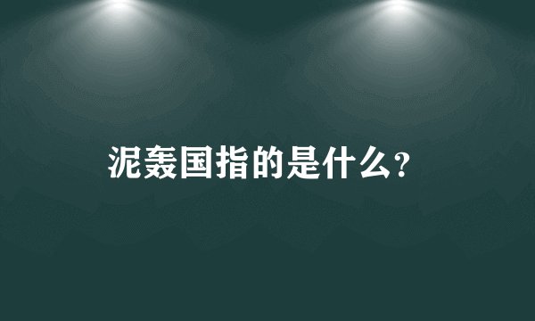 泥轰国指的是什么？
