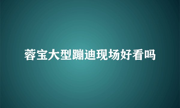 蓉宝大型蹦迪现场好看吗