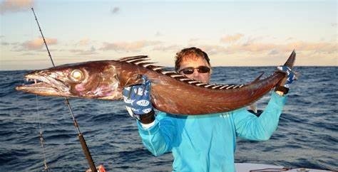 有谁知道这是什么鱼吗？