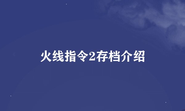 火线指令2存档介绍