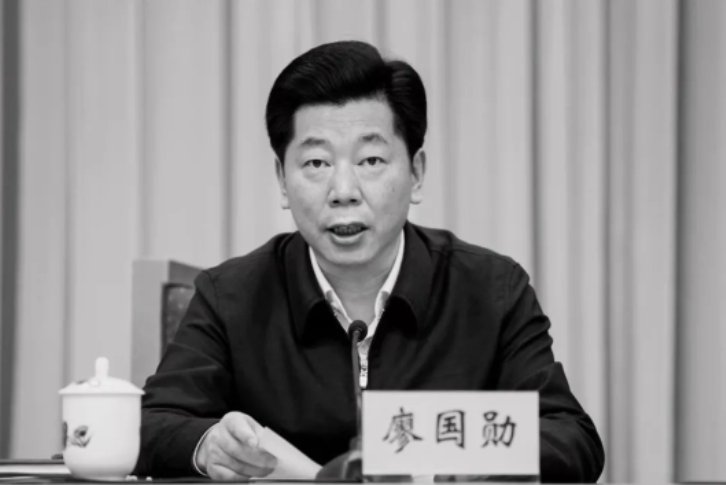 廖国勋同志因突发疾病离世，致其死亡的原因是什么？