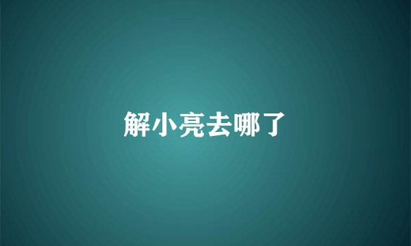 解小亮去哪了