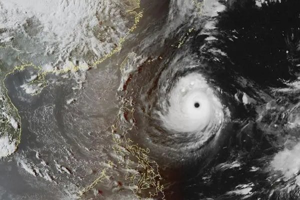 厦门最大台风哪一年