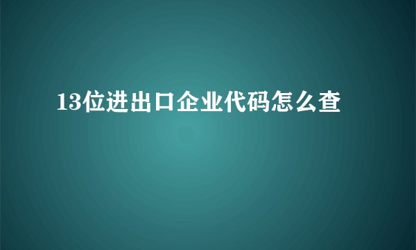 13位进出口企业代码怎么查