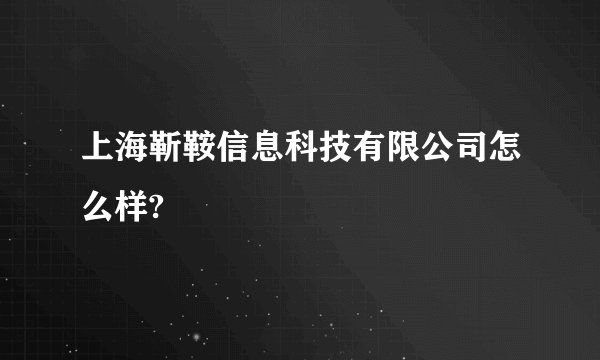 上海靳鞍信息科技有限公司怎么样?