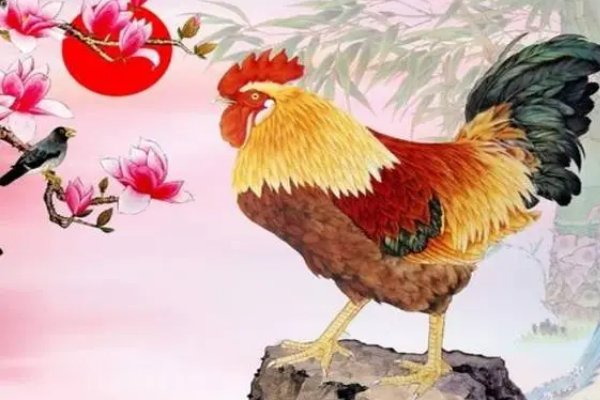 鸟为食亡打一生肖