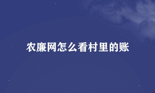 农廉网怎么看村里的账