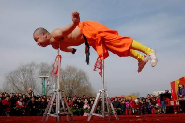 刀枪不入打一动物生肖