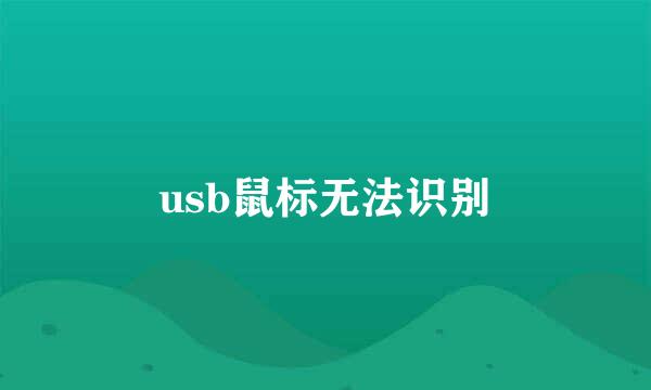 usb鼠标无法识别