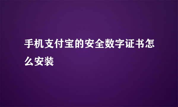 手机支付宝的安全数字证书怎么安装