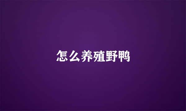 怎么养殖野鸭