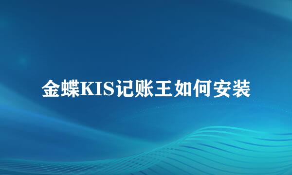 金蝶KIS记账王如何安装