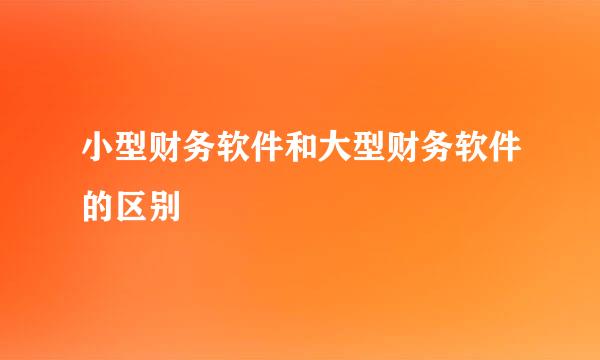 小型财务软件和大型财务软件的区别
