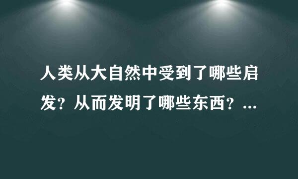 人类从大自然中受到了哪些启发？从而发明了哪些东西？过程是怎样的