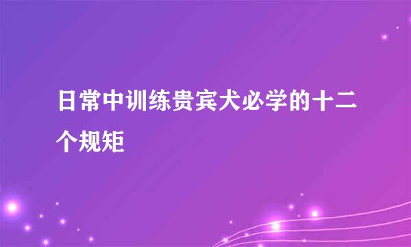 日常中训练贵宾犬必学的十二个规矩