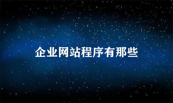 企业网站程序有那些