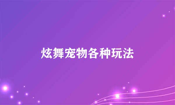 炫舞宠物各种玩法