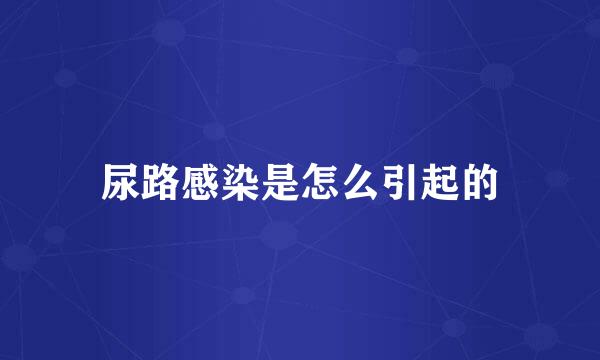 尿路感染是怎么引起的