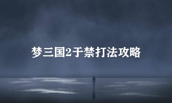 梦三国2于禁打法攻略
