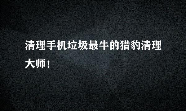 清理手机垃圾最牛的猎豹清理大师！