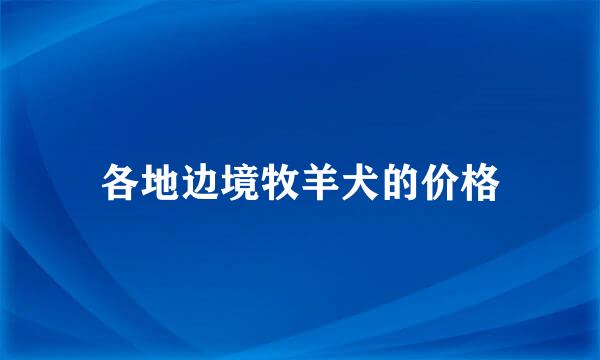 各地边境牧羊犬的价格