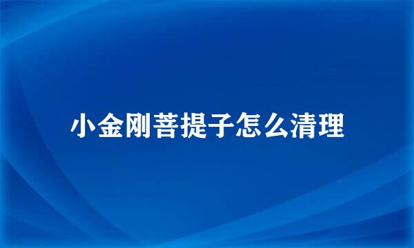 小金刚菩提子怎么清理