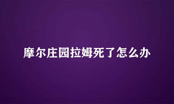 摩尔庄园拉姆死了怎么办