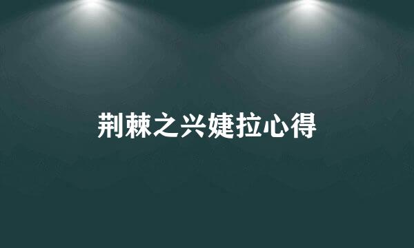 荆棘之兴婕拉心得