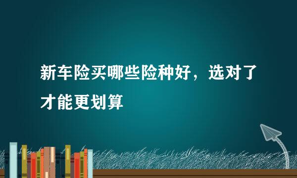 新车险买哪些险种好，选对了才能更划算