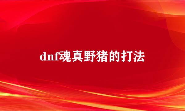 dnf魂真野猪的打法