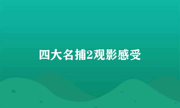 四大名捕2观影感受