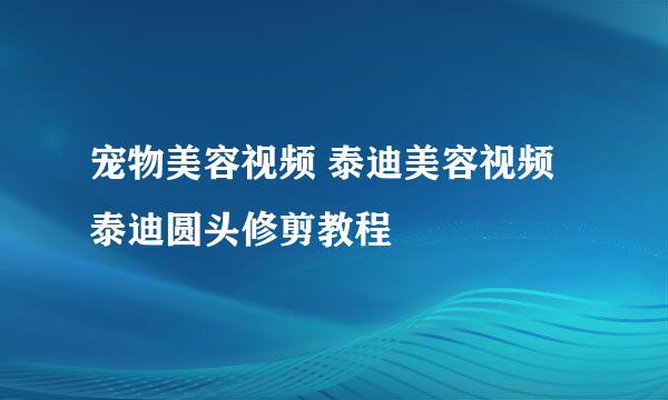 宠物美容视频 泰迪美容视频 泰迪圆头修剪教程