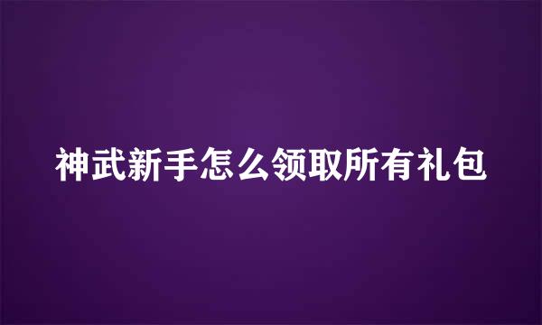 神武新手怎么领取所有礼包