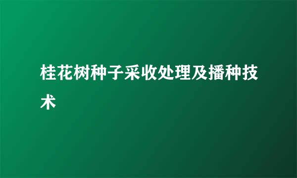 桂花树种子采收处理及播种技术
