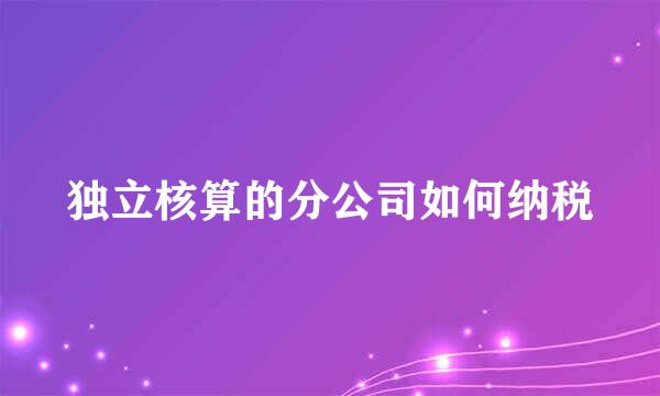 独立核算的分公司如何纳税