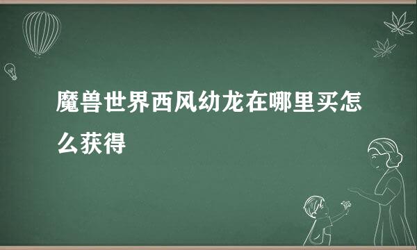 魔兽世界西风幼龙在哪里买怎么获得