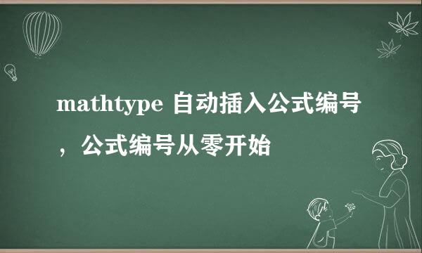 mathtype 自动插入公式编号，公式编号从零开始