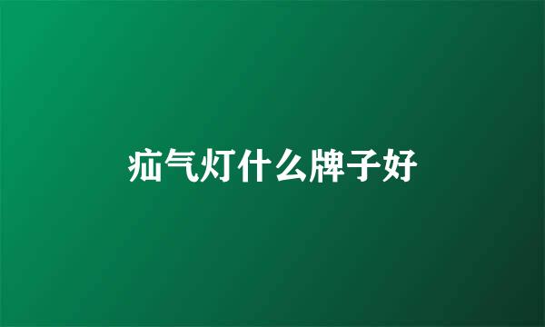 疝气灯什么牌子好
