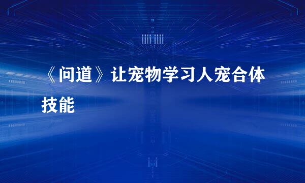 《问道》让宠物学习人宠合体技能