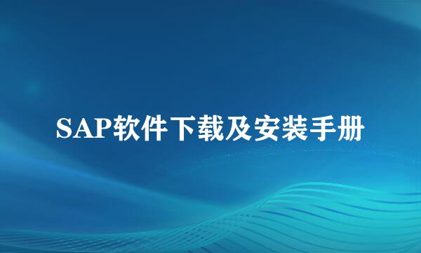 SAP软件下载及安装手册