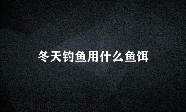 冬天钓鱼用什么鱼饵