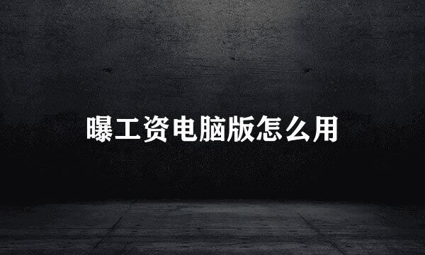 曝工资电脑版怎么用