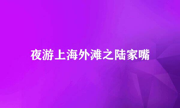 夜游上海外滩之陆家嘴