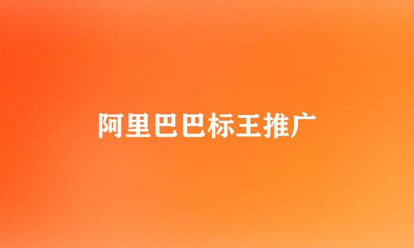 阿里巴巴标王推广