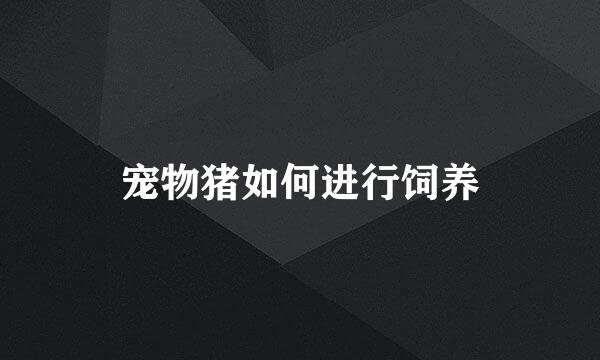 宠物猪如何进行饲养