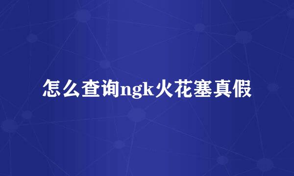 怎么查询ngk火花塞真假