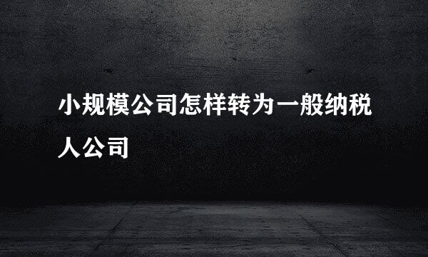 小规模公司怎样转为一般纳税人公司