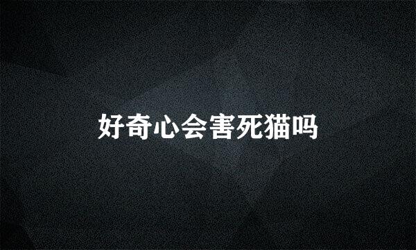 好奇心会害死猫吗